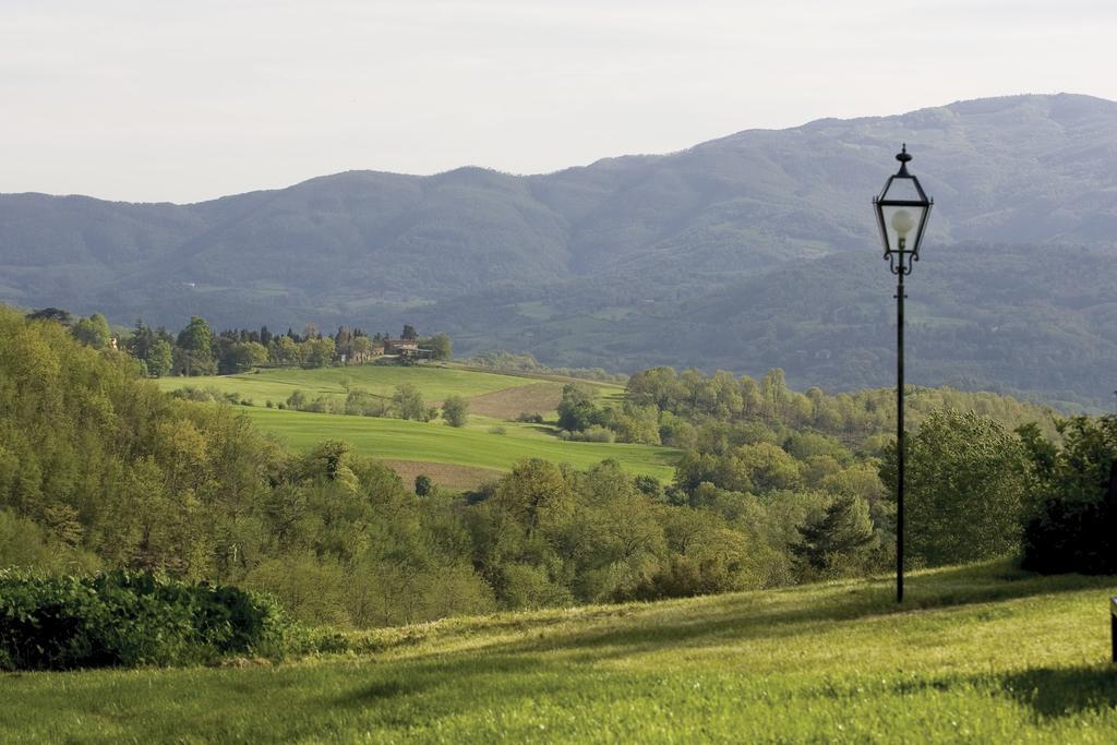 Tenuta Il Cerro วิคคิโอ ห้อง รูปภาพ